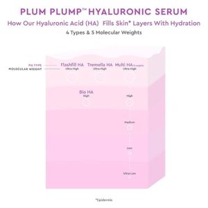Glow Recipe Plum Plump Hyaluronic Acid Serum - Hydrating Korean Skin Care + Face Serum for Women & Men with Antioxidant Plum + Vitamin B5 to Repair Skin Barrier & Lock-In Moisture (30ml) - Image 3